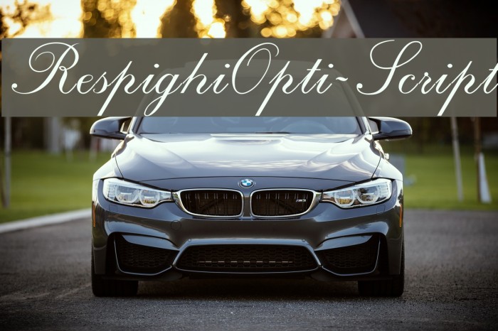 RespighiOpti-Script Font examples