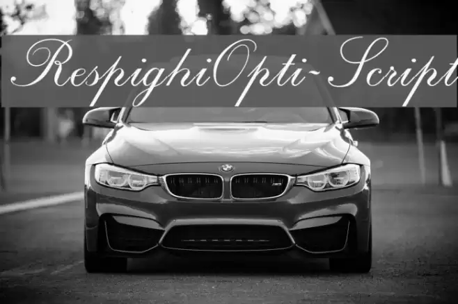RespighiOpti-Script Font examples