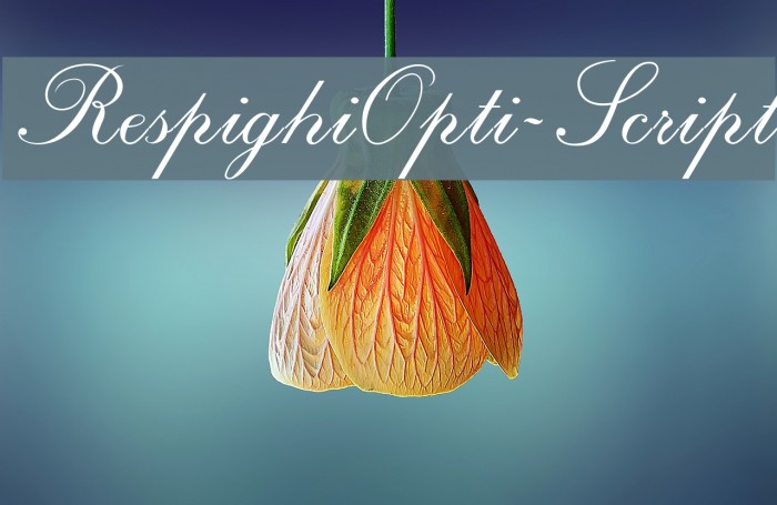 RespighiOpti-Script Font examples