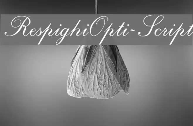 RespighiOpti-Script Font examples