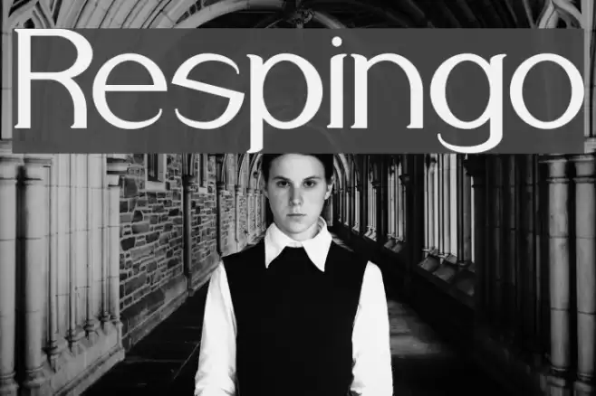 Respingo Font examples