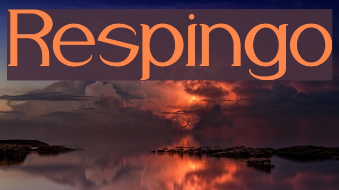 Respingo Font examples
