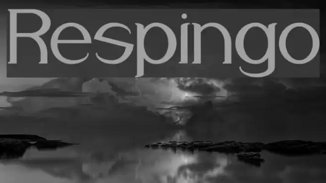 Respingo Font examples