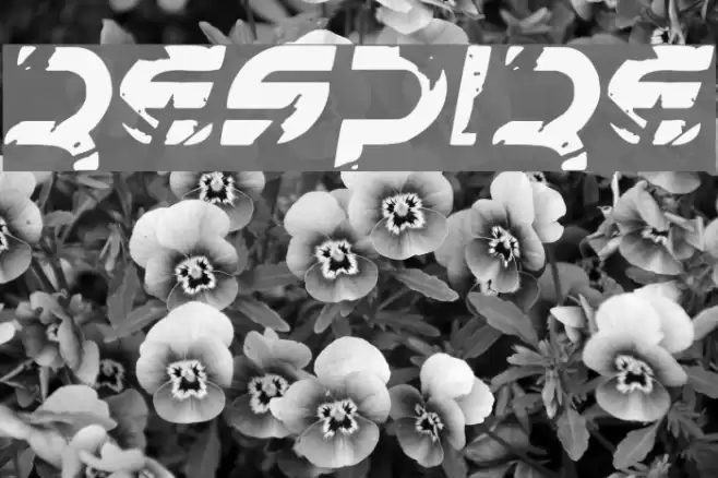 Respire Font examples