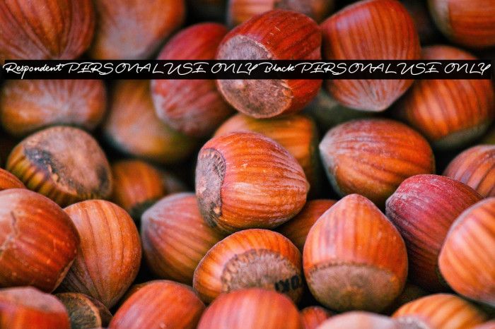 Respondent PERSONAL USE ONLY Black PERSONAL USE ONLY Example 1