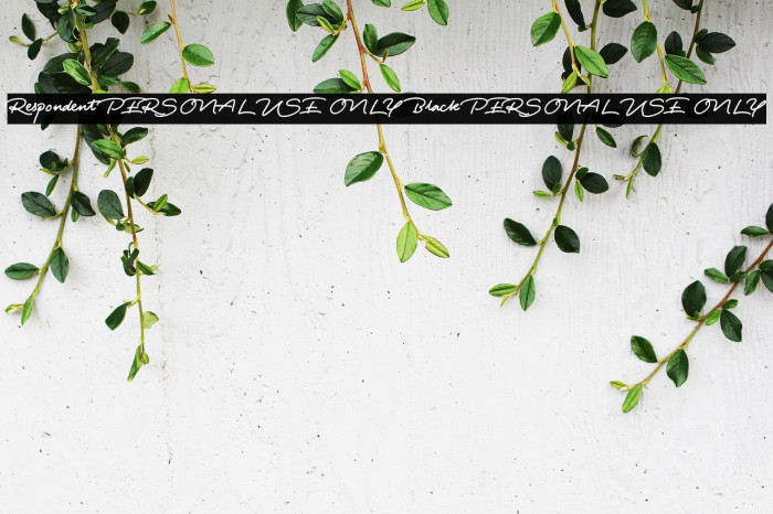 Respondent PERSONAL USE ONLY Black PERSONAL USE ONLY Example 2