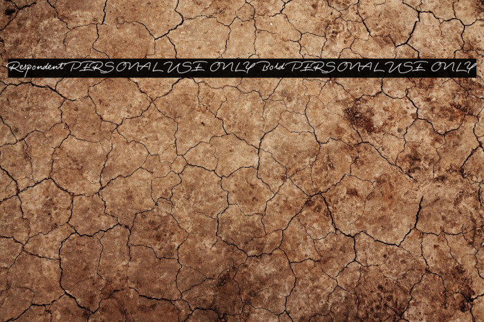 Respondent PERSONAL USE ONLY Bold PERSONAL USE ONLY Example 3