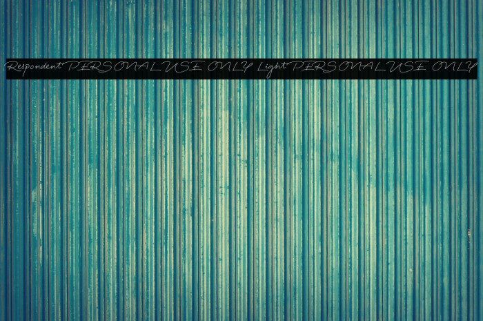 Respondent PERSONAL USE ONLY Light PERSONAL USE ONLY Example 2