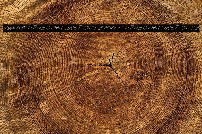 Respondent PERSONAL USE ONLY Medium PERSONAL USE ONLY Example 1