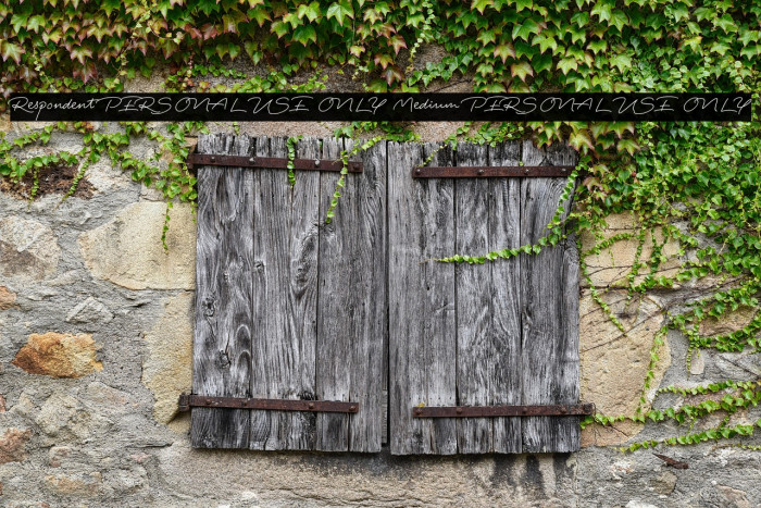 Respondent PERSONAL USE ONLY Medium PERSONAL USE ONLY Example 2