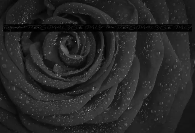 Respondent PERSONAL USE ONLY Thin PERSONAL USE ONLY Font examples