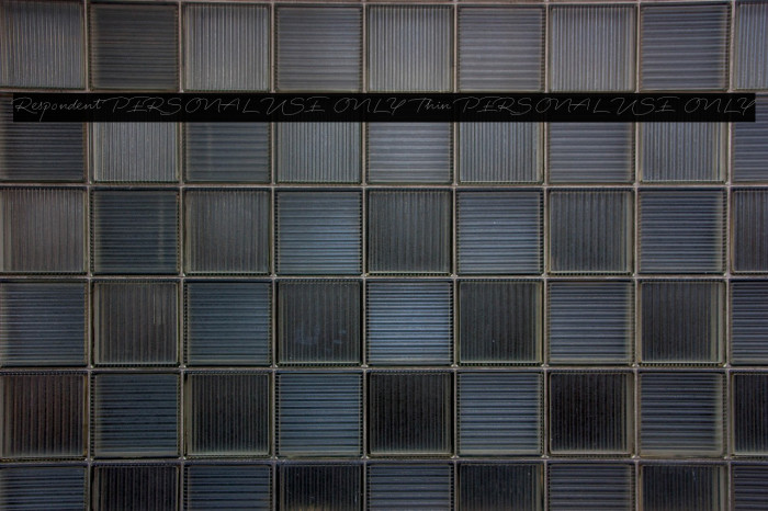 Respondent PERSONAL USE ONLY Thin PERSONAL USE ONLY Example 2