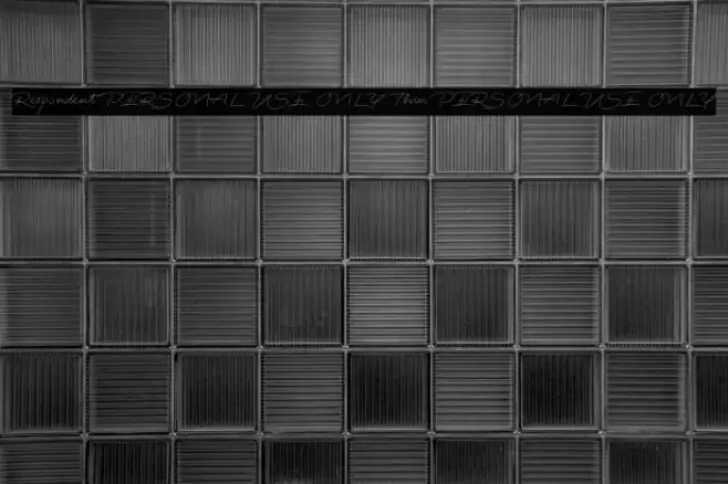 Respondent PERSONAL USE ONLY Thin PERSONAL USE ONLY Font examples