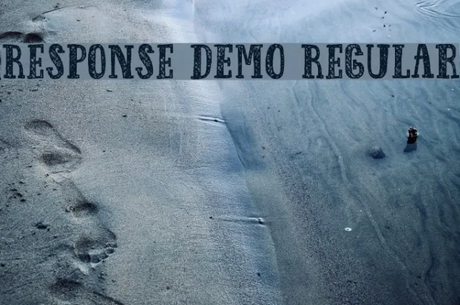 Response DEMO Regular Example 1