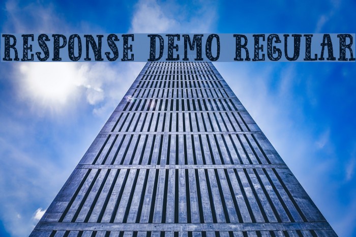 Response DEMO Regular Font examples