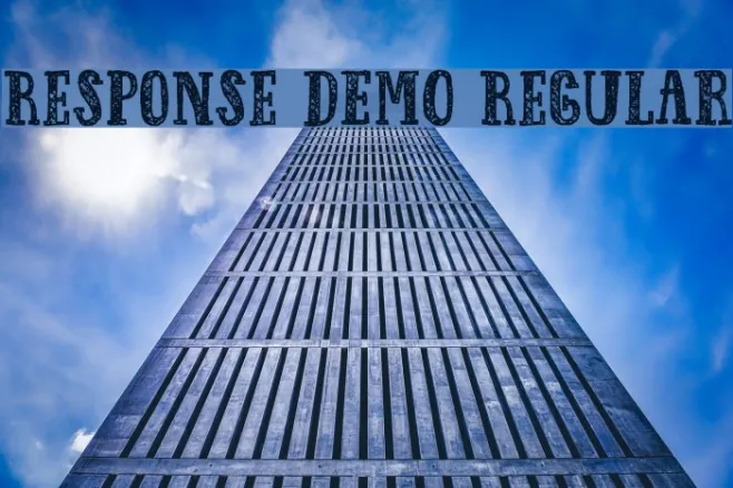 Response DEMO Regular Example 2