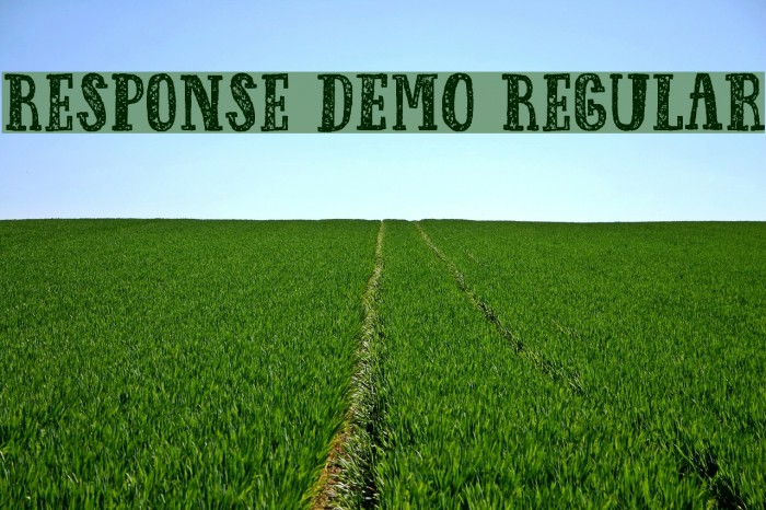 Response DEMO Regular Font examples