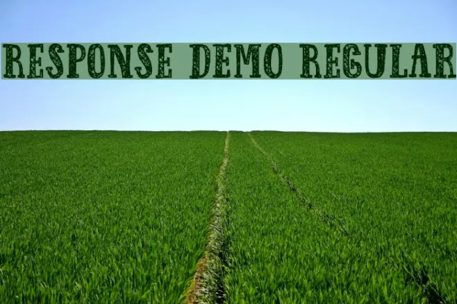 Response DEMO Regular Example 3