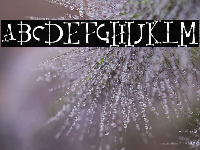 ResquroHalloweenFREE Example 1