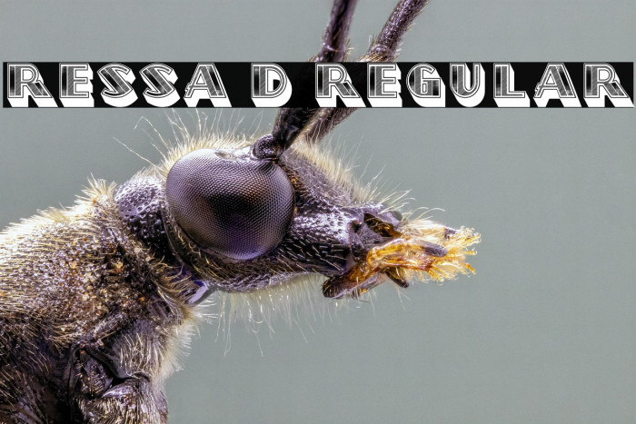 Ressa 3D Regular Example 1