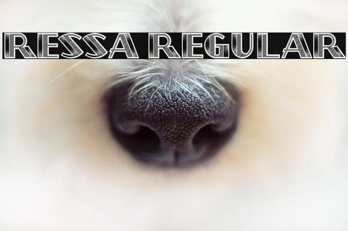 Ressa Regular Example 2