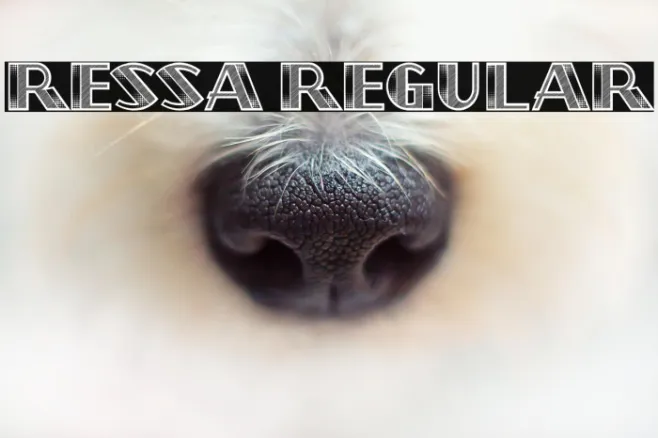 Ressa Regular Example 2
