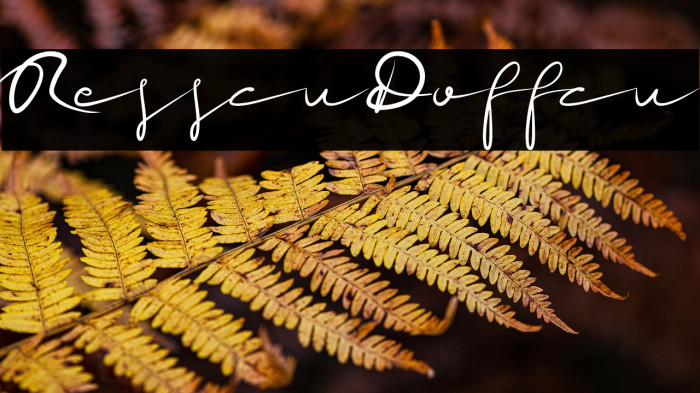 ResscuDoffcu Example 2