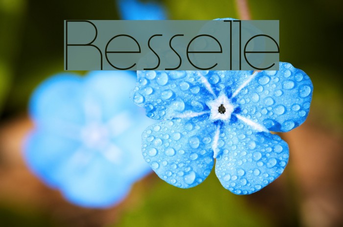 Resselle Font examples