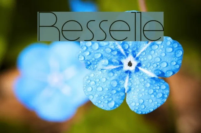 Resselle Example 3