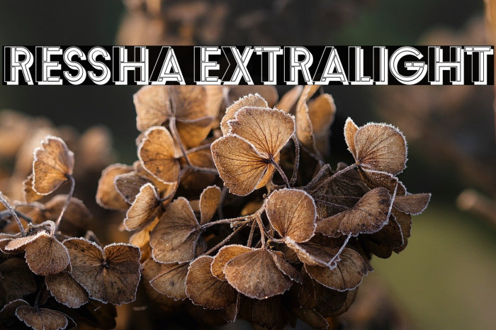 Ressha ExtraLight Example 3