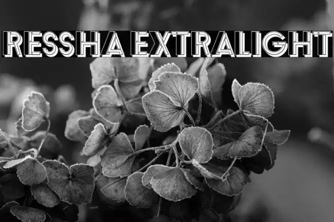 Ressha ExtraLight Font examples