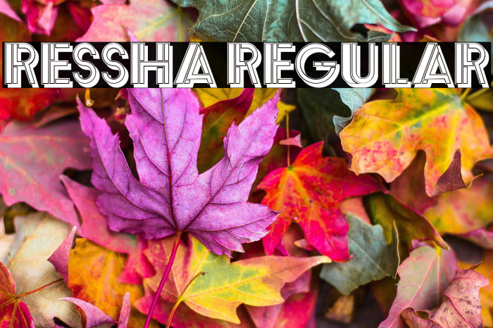 Ressha Regular Example 3