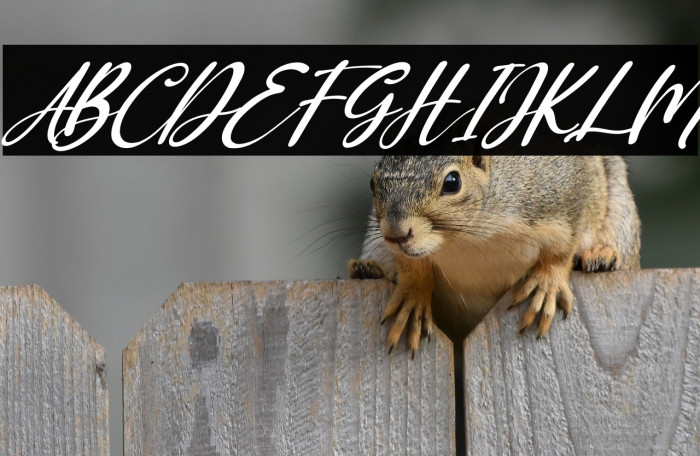 Ressoven Italic Example 1