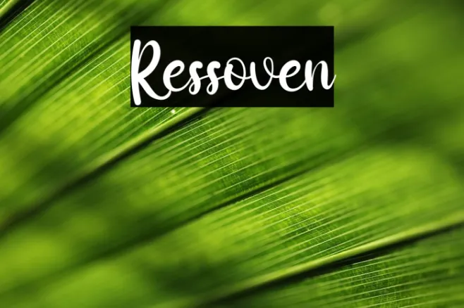 Ressoven Example 2