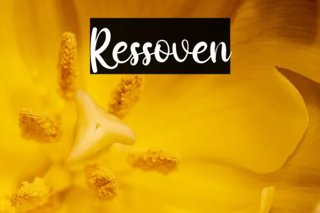 Ressoven Example 3
