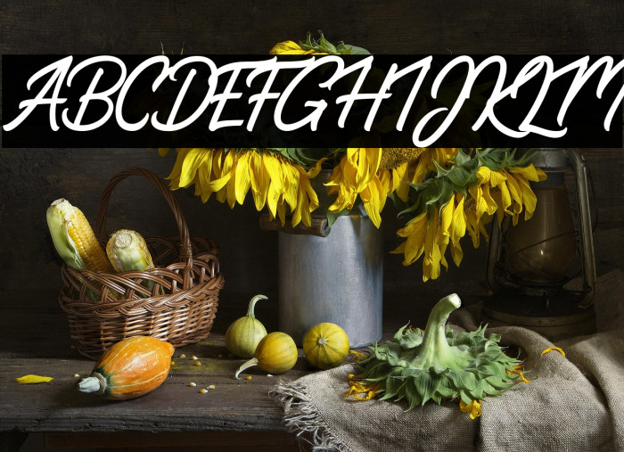 RestaconmeRegular Example 1