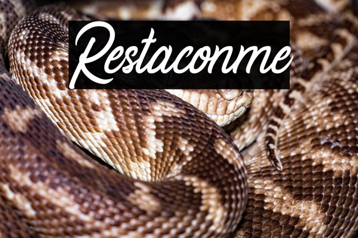 Restaconme Example 1