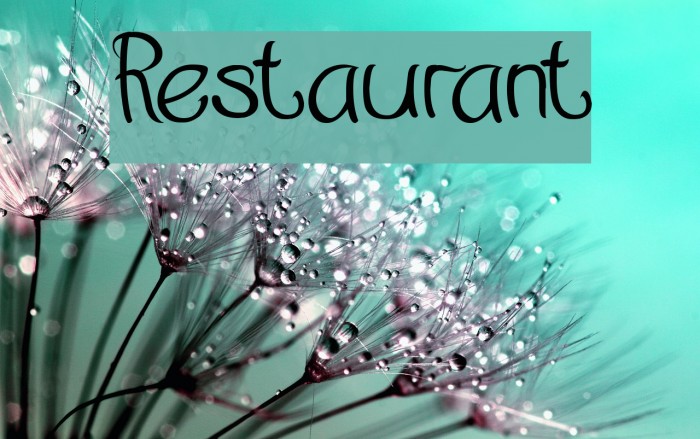 best font for restaurant logo