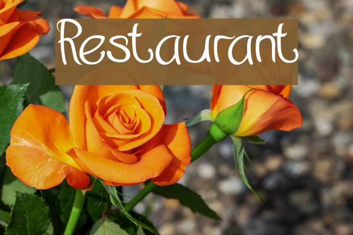 Restaurant Font examples