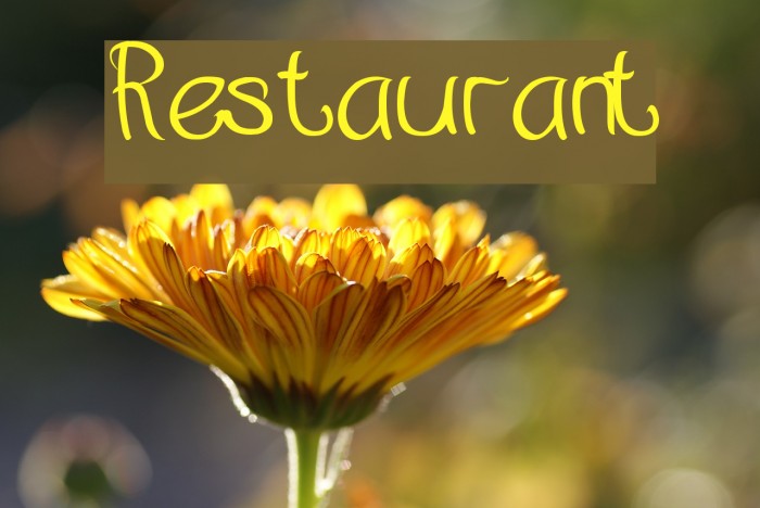 Restaurant Example 1