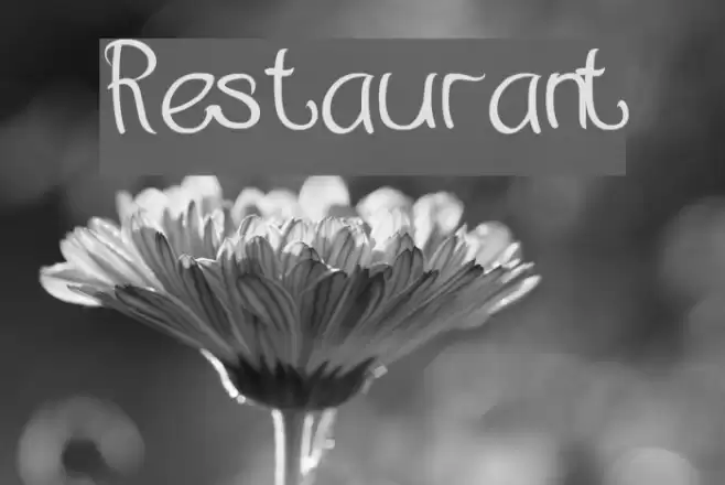 Restaurant Font examples