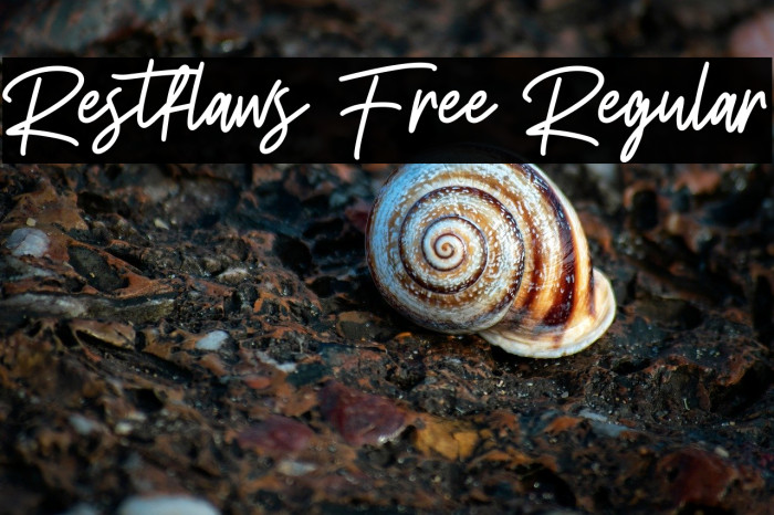 Restflaws Free Regular Example 1