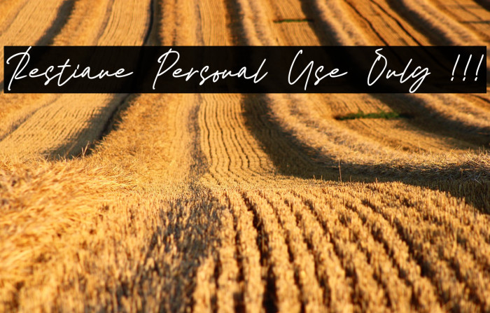 Restiane Personal Use Only !!! Example 1