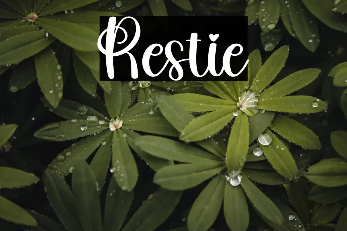 Restie Example 1