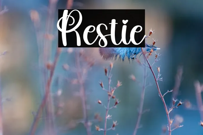 Restie Example 3