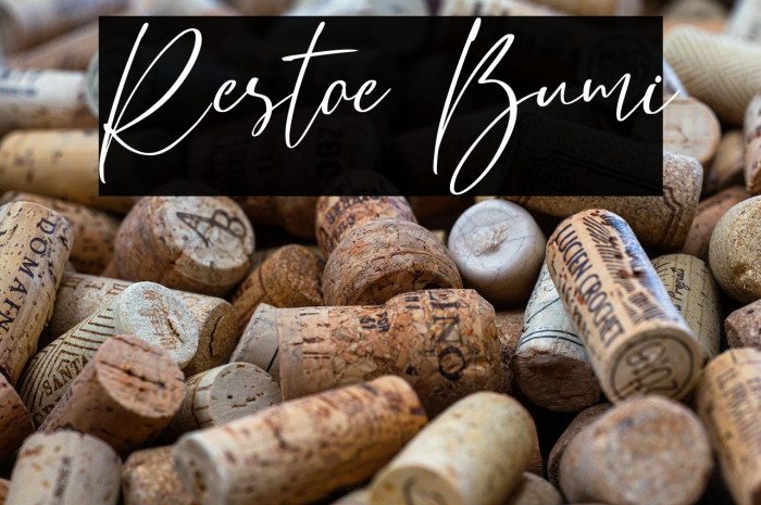 Restoe Bumi Example 1