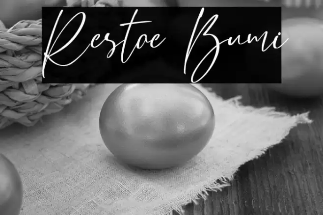 Restoe Bumi Font examples