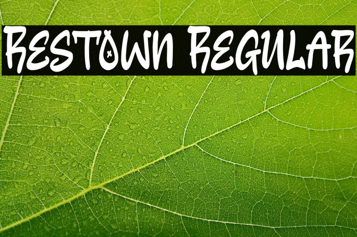 Restown Regular Example 1