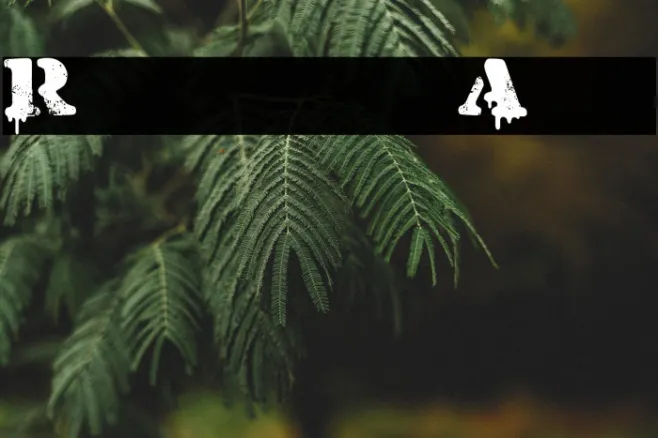 Restricted Area Example 1