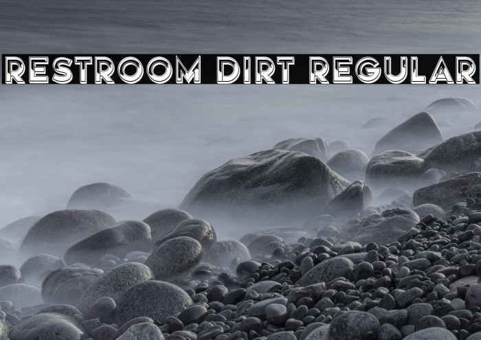 Restroom Dirt Regular Example 3